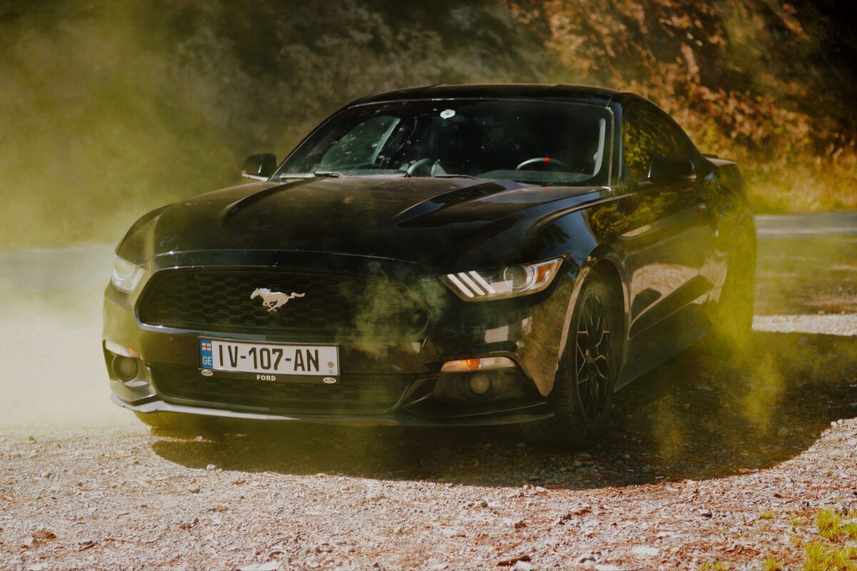 essai police philippe dynamique copeland sting